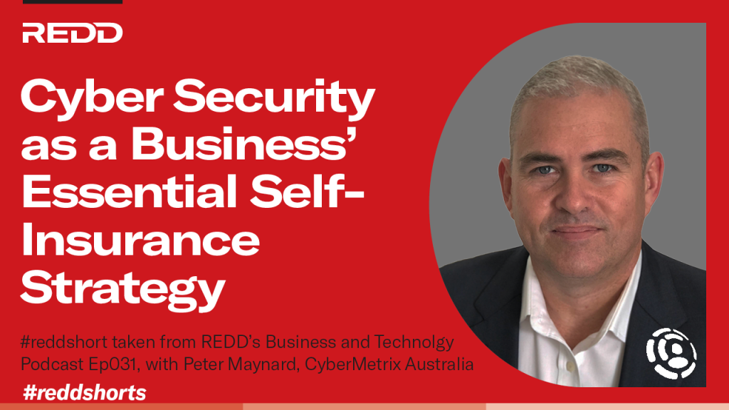 Ep031 – 006 – Cyber Security as a Business’ Essential Self-Insurance Strategy